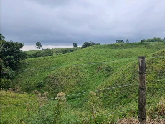 Finca De 11.5 Cuadras En Filandia Para La Venta Espectacular Vista