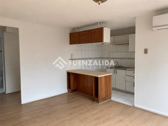 Arriendo Departamento Providencia 1 Dormitorio Bodega