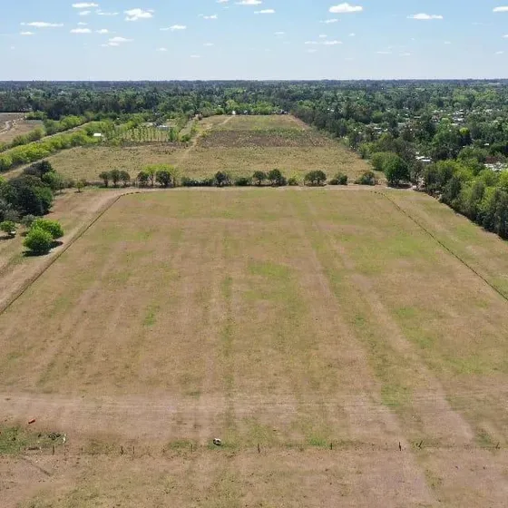 Campo De 10 Has En Venta, Manzanares.
