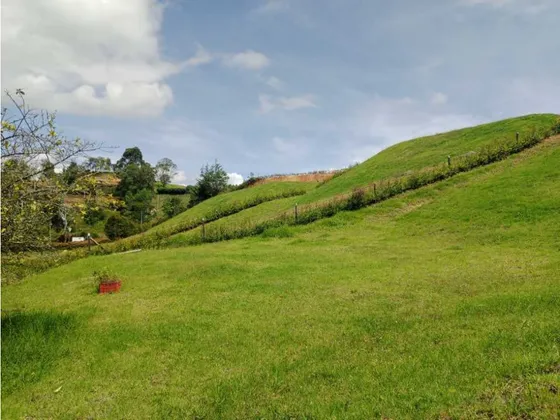 Hermosos Lotes En Venta Con Excelente Ubicación Y Vista - Carmen Víb.