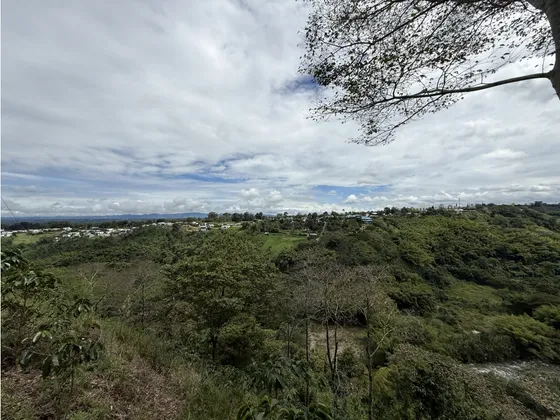 Se Vende Finca Corredor Sub Urbano La Bella Calarca