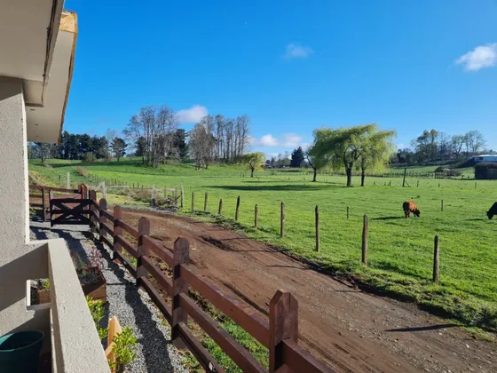 Casa 3 Dormitorios En Pleno Campo, Lago Ranco