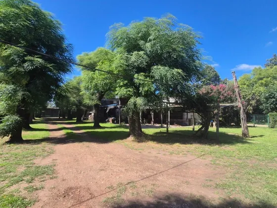 Local Comercial En Venta - Depósito - 1.300mts2 - Carlos Spegazzini 