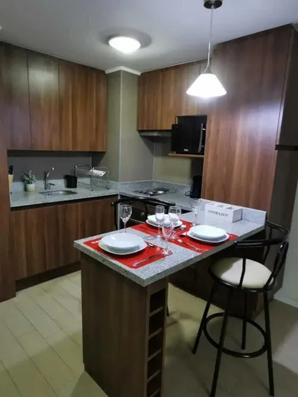 Arriendo Departamento (101109)