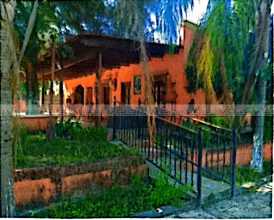 Palmitos Cadereyta