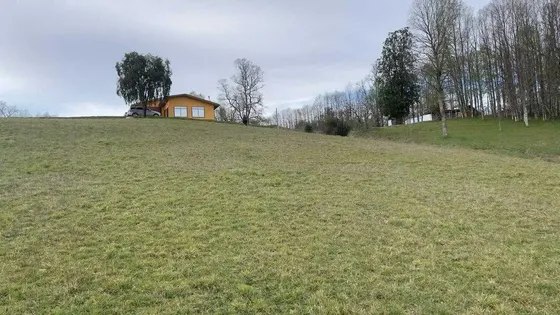 Vendo Campo 7 Ha Con Casa Camino Huichahue (66896)