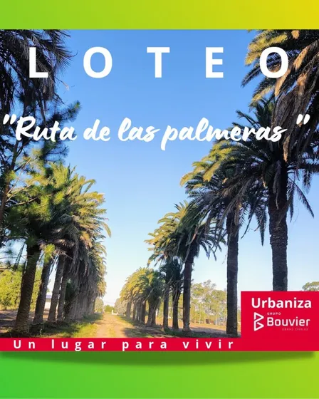 Preventa Exclusivo Loteo Ruta De Las Palmeras