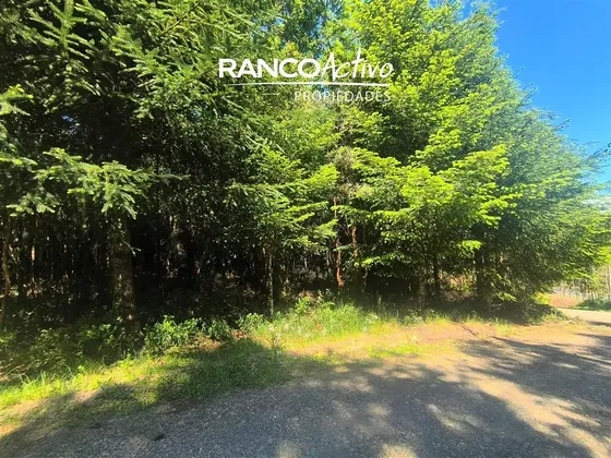 Se Vende Parcela En Alto Río, Fundo Amancay, Valdivia