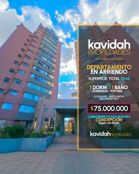 1d/1b Hermoso Depto En Condominio Plaza Mayor Ii, Concepción