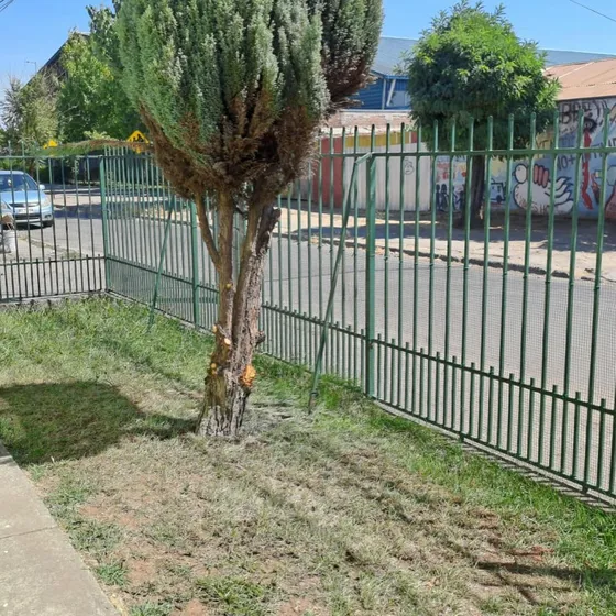 Casa Amplia En Arriendo En Linares