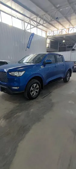 Great Wall Poer Otros