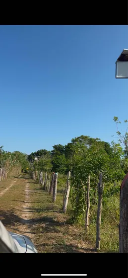 Vendo Finca 2.7 Hectáreas En Palmar De Varela, Atlántico