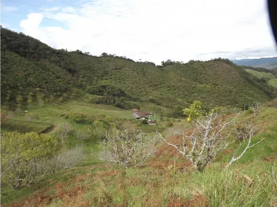 Terreno En Venta Sector Pantanillo El Retiro