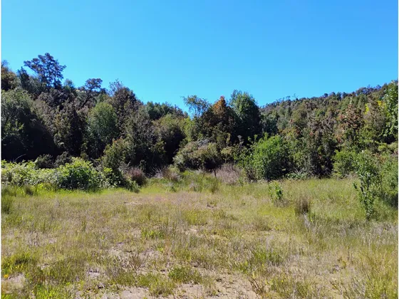 Se Vende Parcela En Chiloé