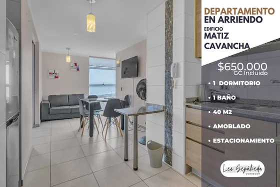 Departamento Amoblado 40m2 1d/1b/est (100663)