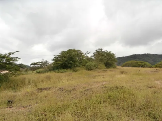 Terreno De Uso Industrial Con Excelente Ubicación