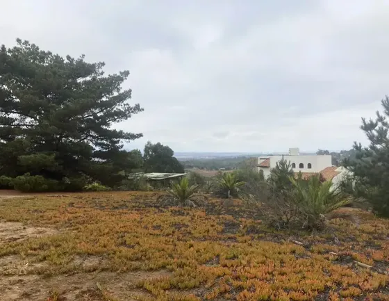 Se Vende Parcela En Condominio Alto Rungue, Maitencillo