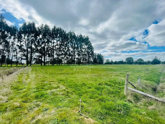 ¡parcelas Exclusivas Con Vista, Cerca De Frutillar!