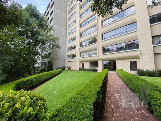 Vive En La Tranquilidad De Un Departamento Que Llamarás Hogar Con Vistas Verdes