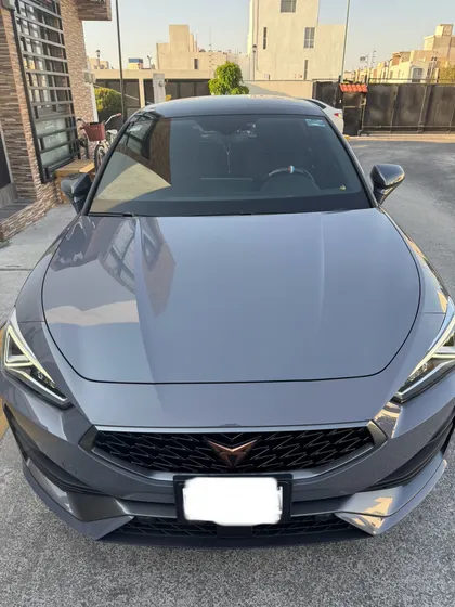 Cupra Leon 300hp