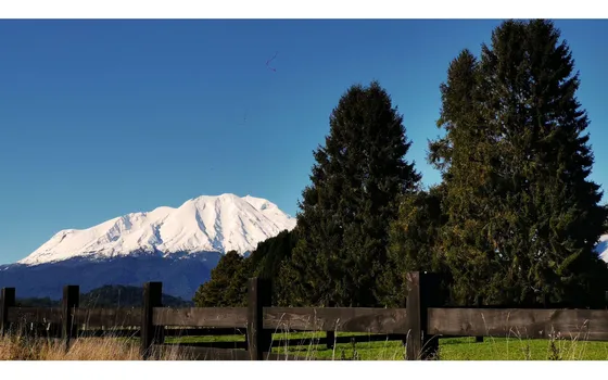 Proyecto En Verde Bosque Del Rio  Puerto Varas