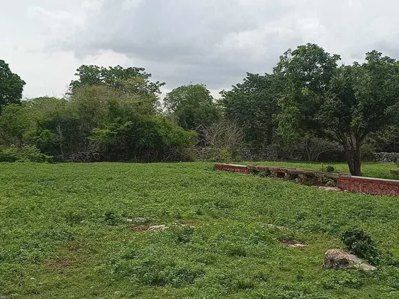 Terreno De 250 Hectáreas Carretera Tetiz- Celestún
