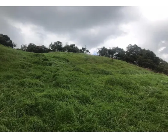 Lote En Venta Vereda La Pulgarina En San Pedro De Los Milagros 