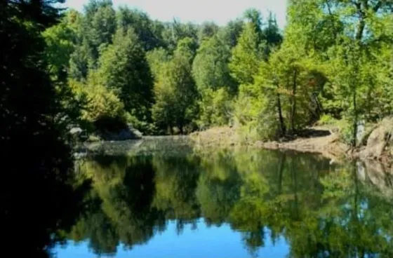 Sitio En Venta A 42 Km De Curicó A La Cordillera 
