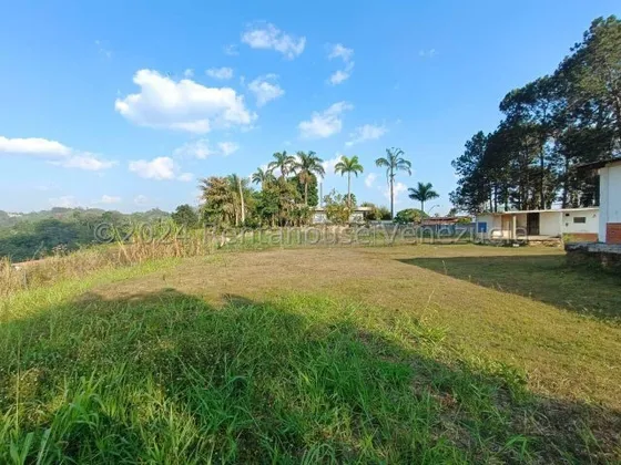 Venta De Terreno Plano En El Placer