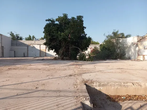 Terreno En Renta San Isidro Torreón