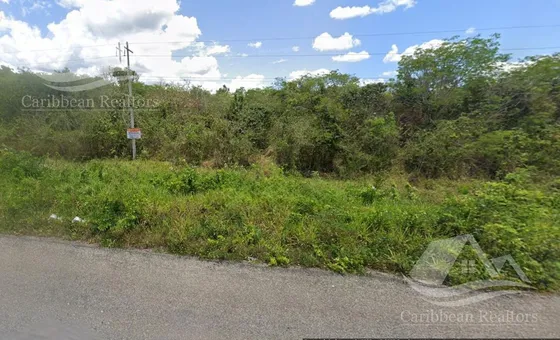 Terreno En Venta  Mahahual