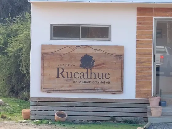Parcela En Lomaje Con Excelente Vista De Quillota