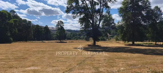 Se Vende Hermoso Terreno De 23 Hectáreas Agrícola ...