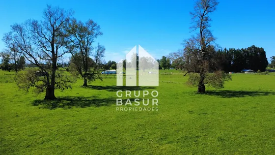 Parcelas En Crucero, Río Bueno | Naturaleza Y Vida De Campo