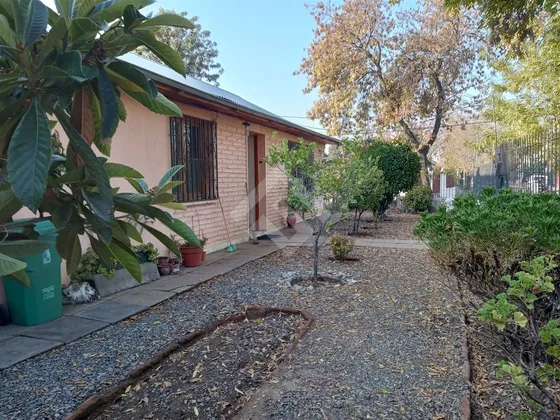 Venta De 4 Dorm. En Macul, Amplios Espacios Y Terreno