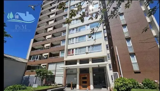 Se Vende Departamento En Concepción Centro