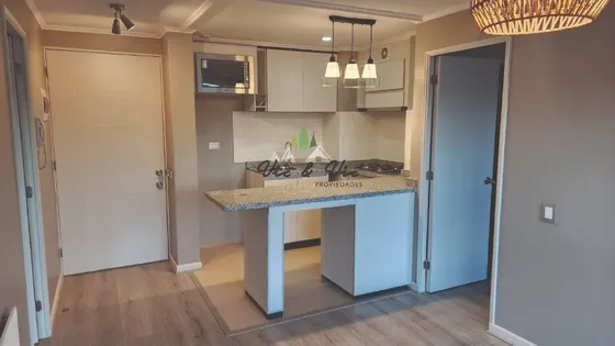 Oportunidad! Dormitorios Espejo 2 En Suites, Le Mans Osorno