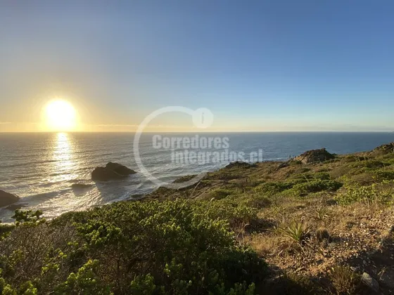Sitio En Venta En Pichilemu