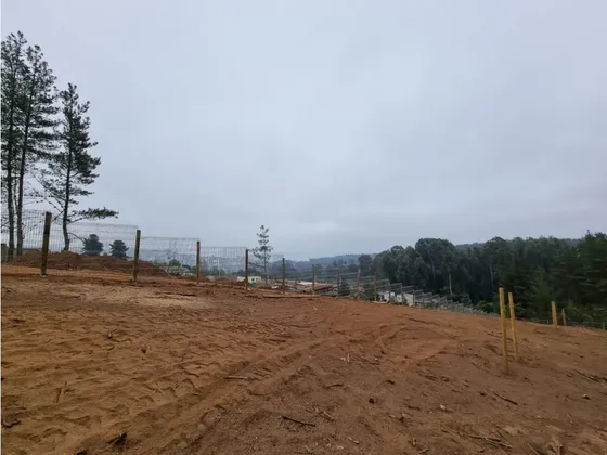 Terreno Con Vista Al Mar En Los Pinos