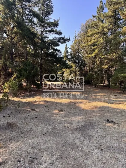 Terreno De 1 Hectárea Hacienda De Reñaca, Reñaca Alto