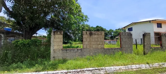 Las Mercedes Paparo Rio Chico (k)