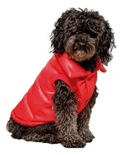 Mercadolibre chihuahua ropa hotsell