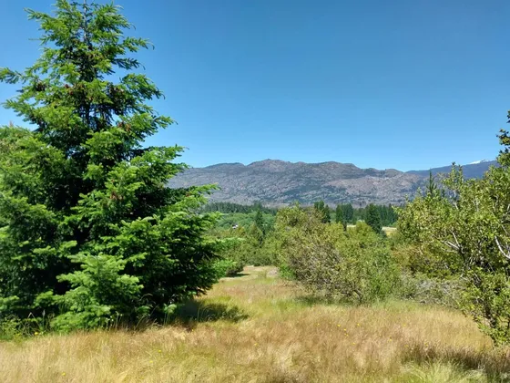 Chacra En  Las Golondrinas - Chubut