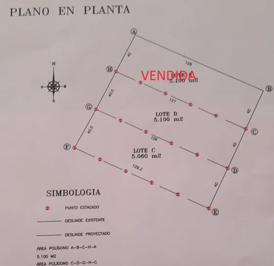 Parcela Plana De 5.000 Mt2 Curacaví