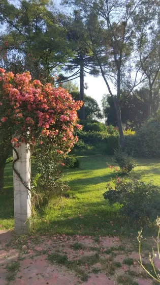 Terreno En Venta En (santiago) San Jeronimo, La Magdalena Contreras