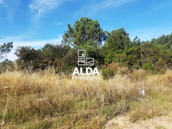 Terreno Punta Colorada Piriápolis Venta Te500590