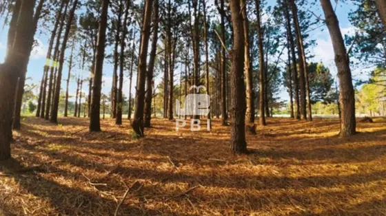 Terreno En Venta En La Serena, Punta Ballena  - Ref : Pbi14112