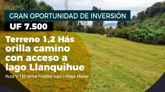 Espectacular Terreno A 5km De Frutillar