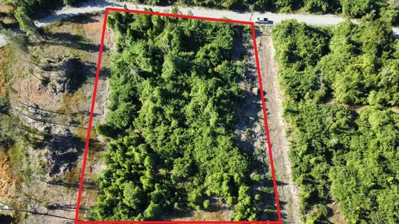 Parcela En Pto Octay Sin Construcción (102932)