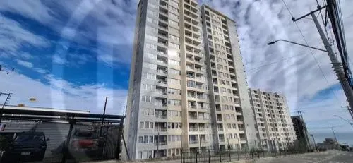 Acogedor Depto Amoblado Viña Del Mar 2d 1b (177619)